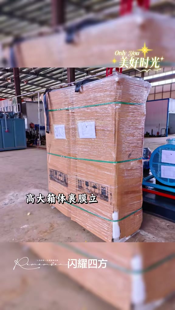 Lifeng Energy Exports Downhole Jet Pump Equipment to the Republic of the Congo · 3