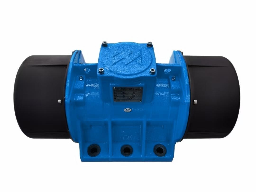 Excitation Motor